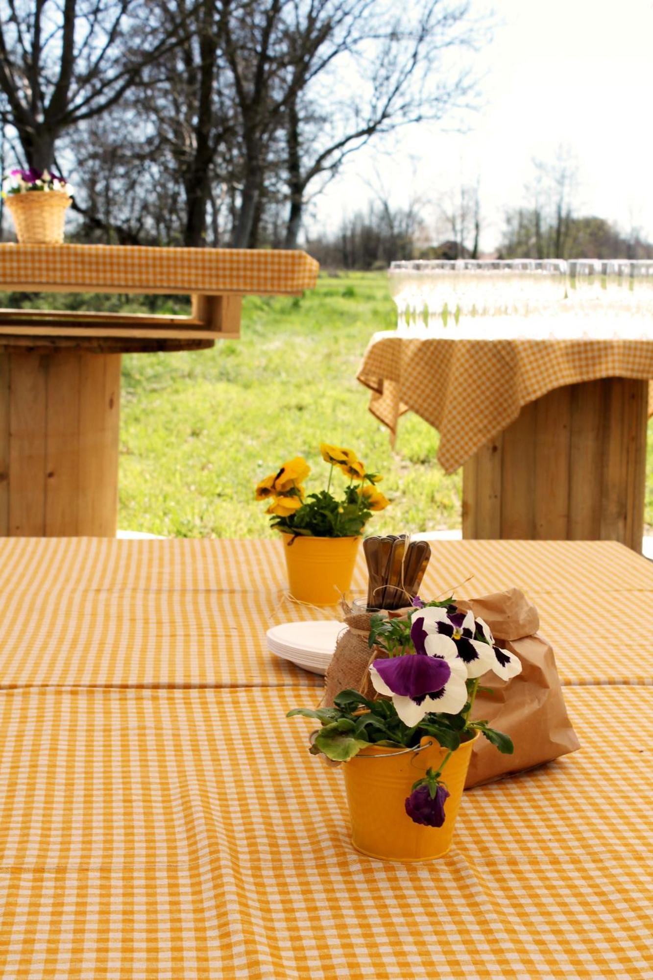 Agriturismo Helianthus Oleggio Exterior foto